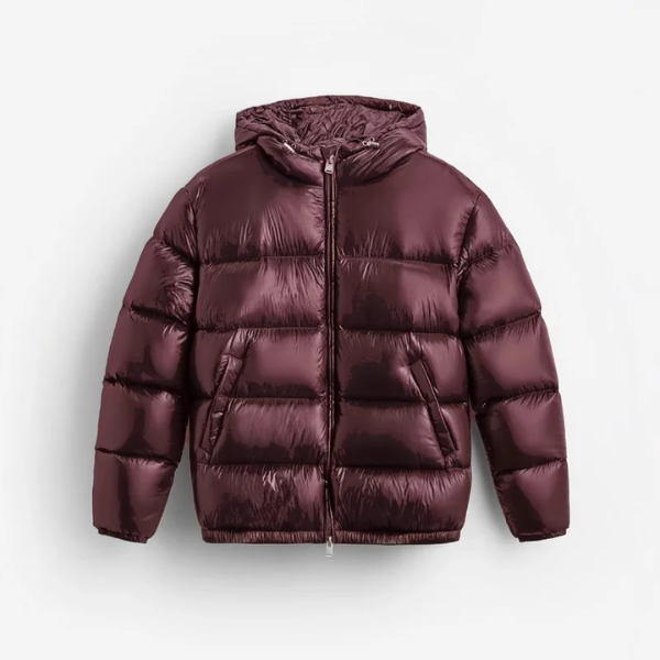 Piumino Alpine Uomo – Edizione Autunno/Inverno